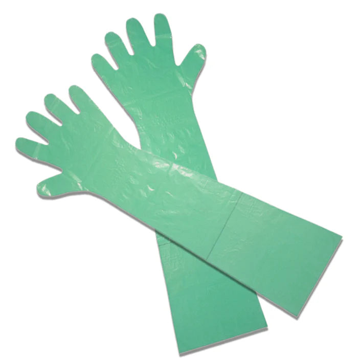 Euromed - PE Long Gloves (100 Pcs/ Pkt)