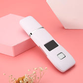 Skin Scrubber Skin Scraper Ultrasonic EMS Pore Cleaner Remover